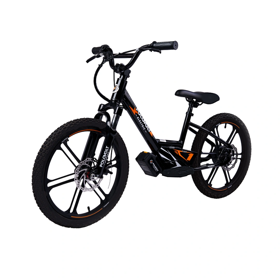 Rower elektryczny Polovolt M-20
