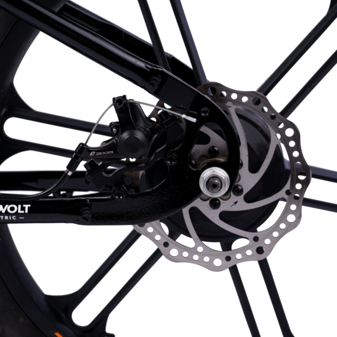 Rower elektryczny Polovolt M-20